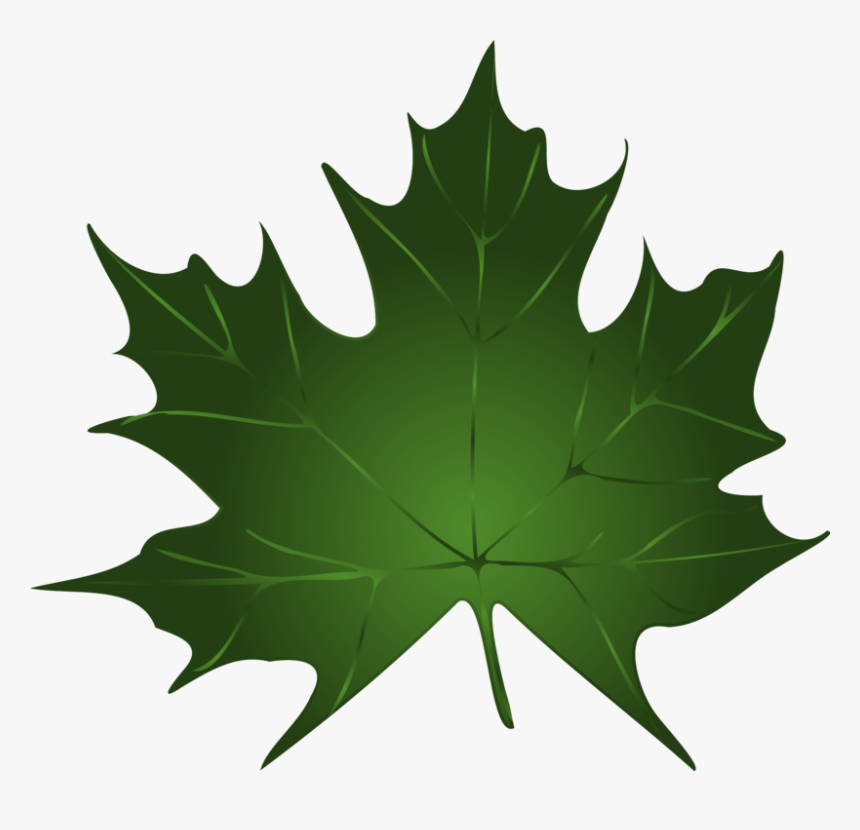 Transparent Leaf Clipart - Green Fall Leaves Clip Art, HD Png Download, Free Download