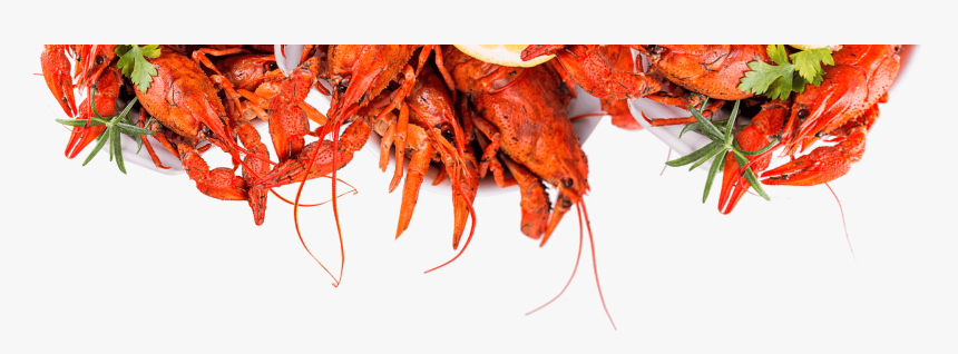 Homarus, HD Png Download, Free Download