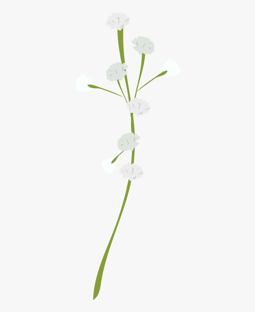 Bouquet, HD Png Download, Free Download