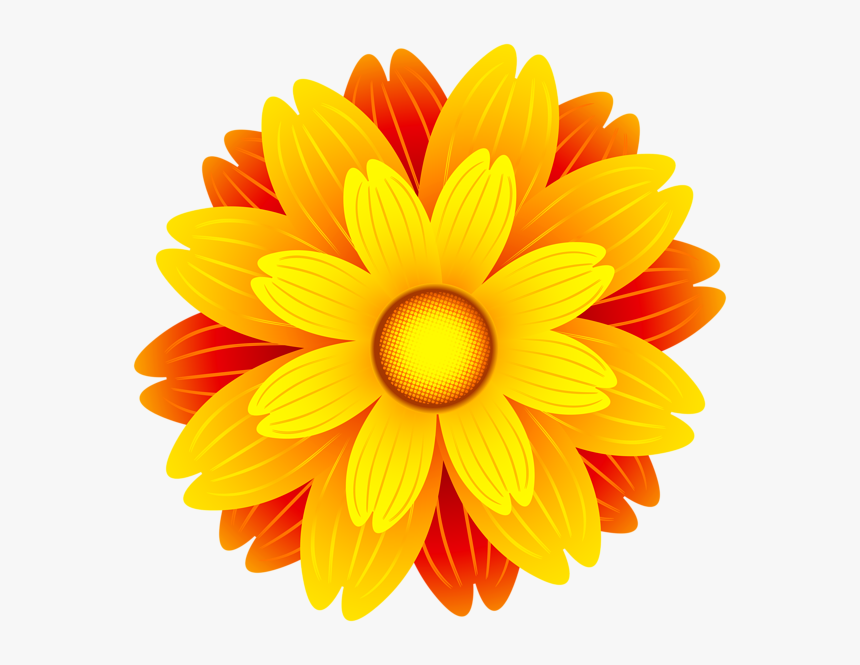 Flower Orange Blossom Clip Art - Orange Flower Clipart Png, Transparent Png, Free Download