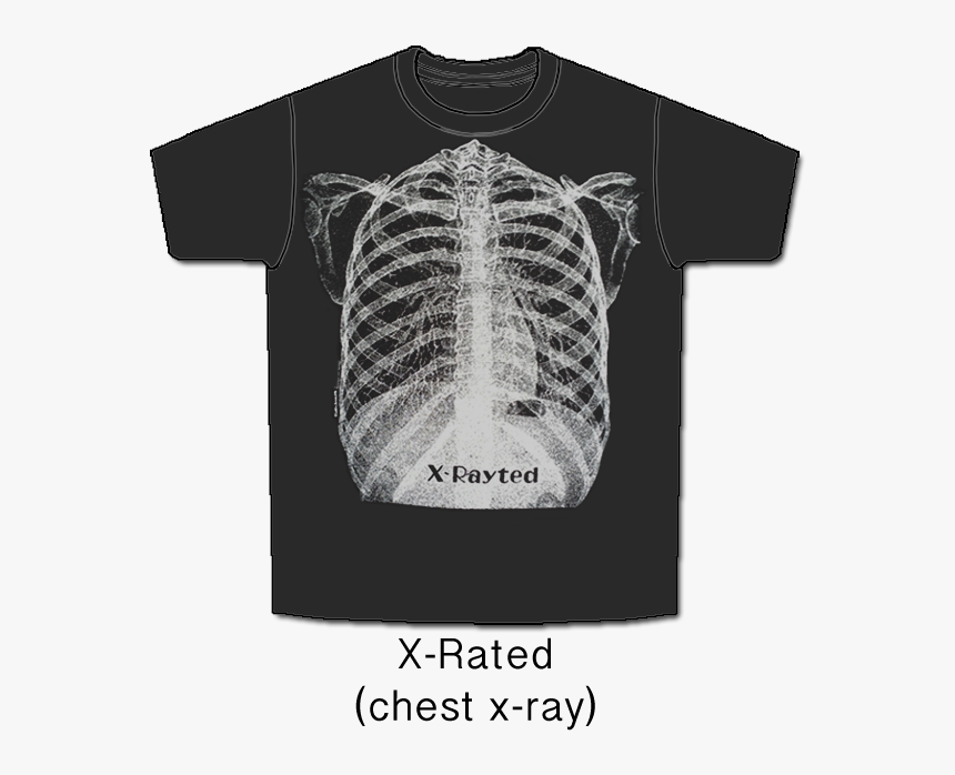 X-ray - Blue Skeletal System Anatomy Shirt, HD Png Download, Free Download