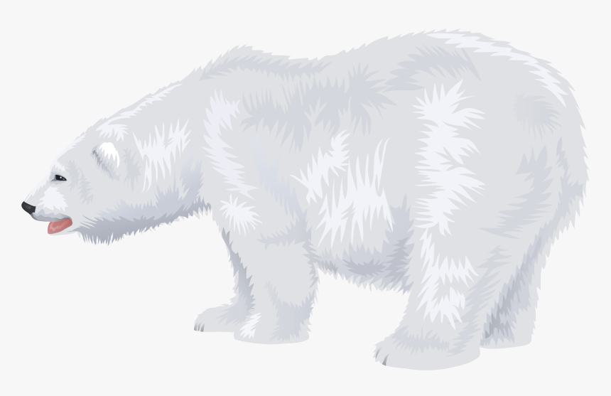 Polar White Bear Png - Transparent Background Clip Art Polar Bear, Png Download, Free Download