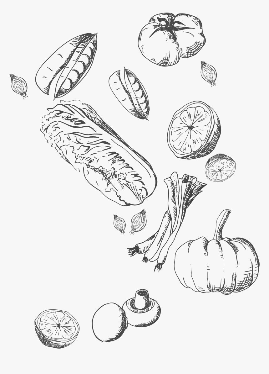 Food And Beverage Sketch Png, Transparent Png, Free Download