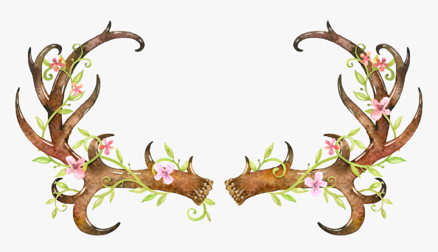 White Tailed Deer Elk Clipart , Png Download - Transparent Deer Antler Clip Art, Png Download, Free Download