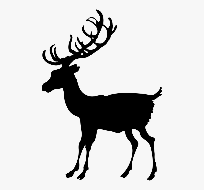 Reindeer, HD Png Download, Free Download