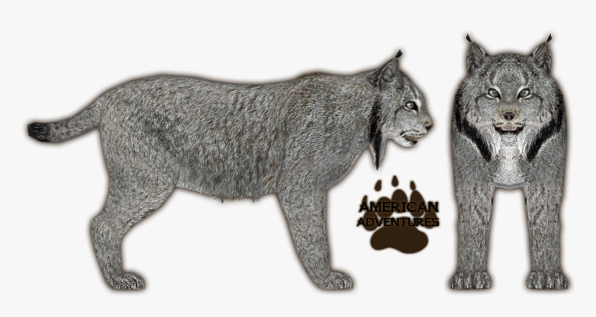 Lynx Png Download Image - Zoo Tycoon 2 Lynx, Transparent Png, Free Download