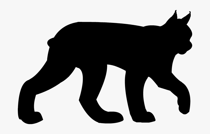 Eurasian Lynx Canada Lynx Bobcat Felidae Clip Art - Lynx Lynx Black And White, HD Png Download, Free Download