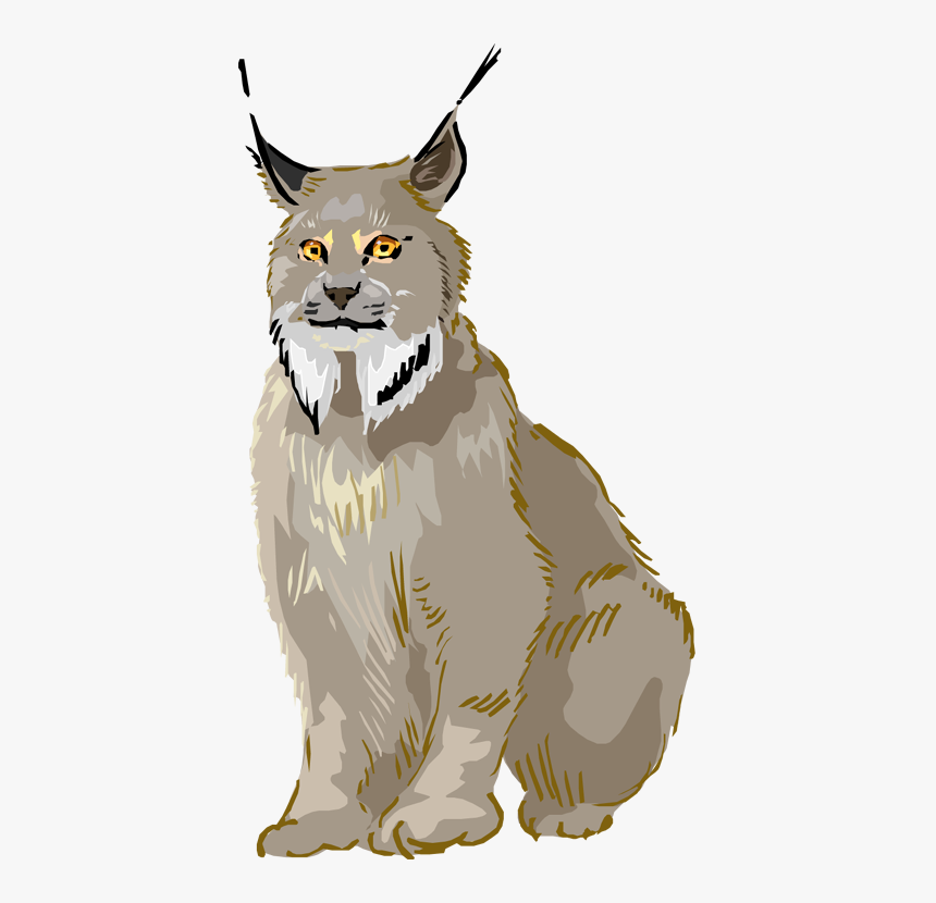 Free Lynx Clipart - Lynx Clipart, HD Png Download, Free Download