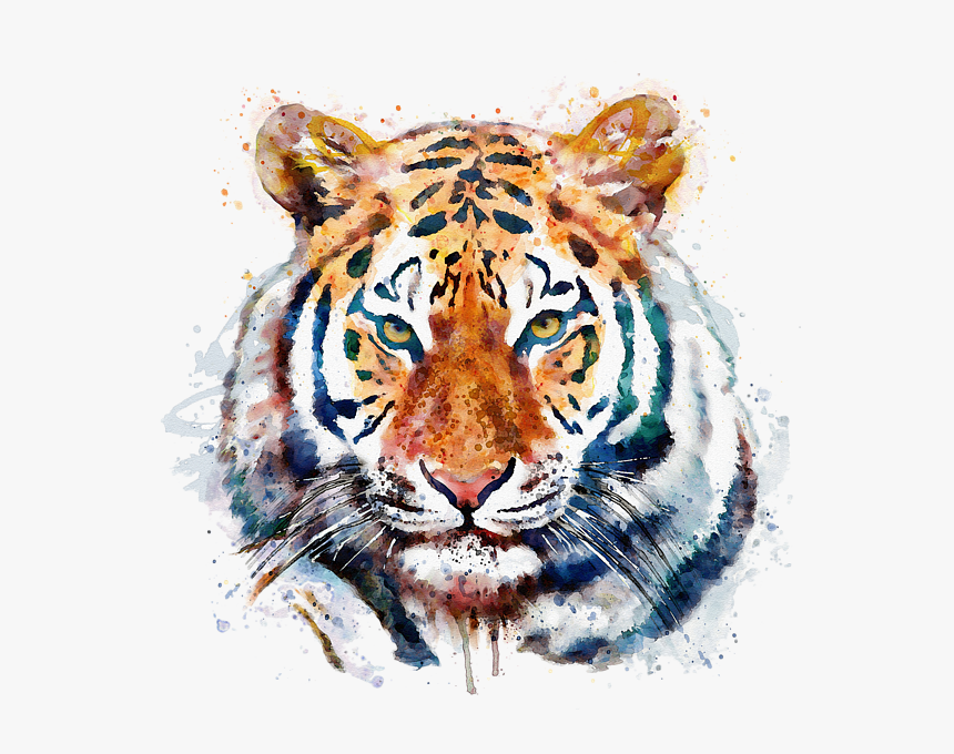 Tiger Drawing Watercolor, HD Png Download, Free Download