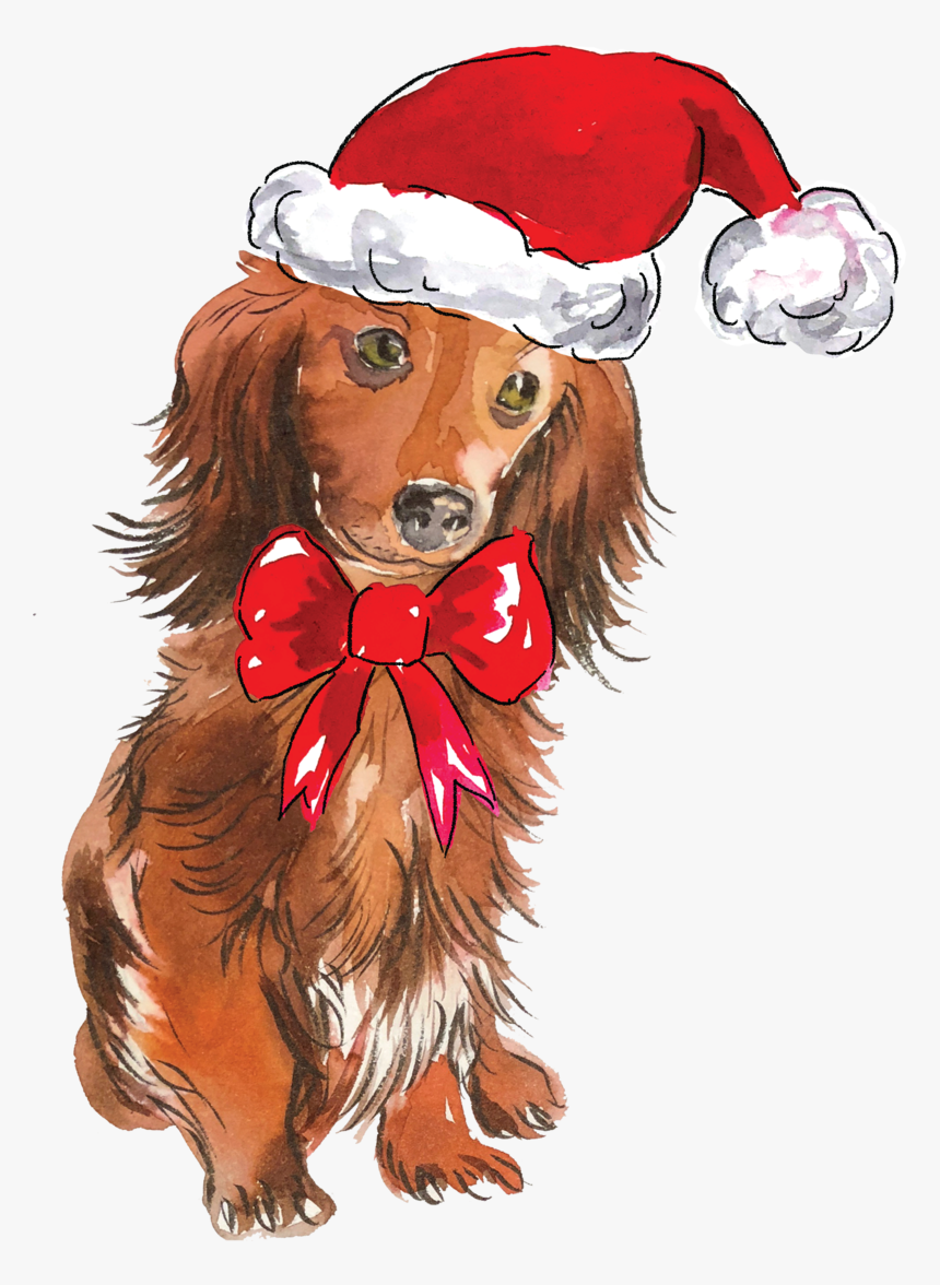 Long Haired Dachshund Cartoon, HD Png Download, Free Download