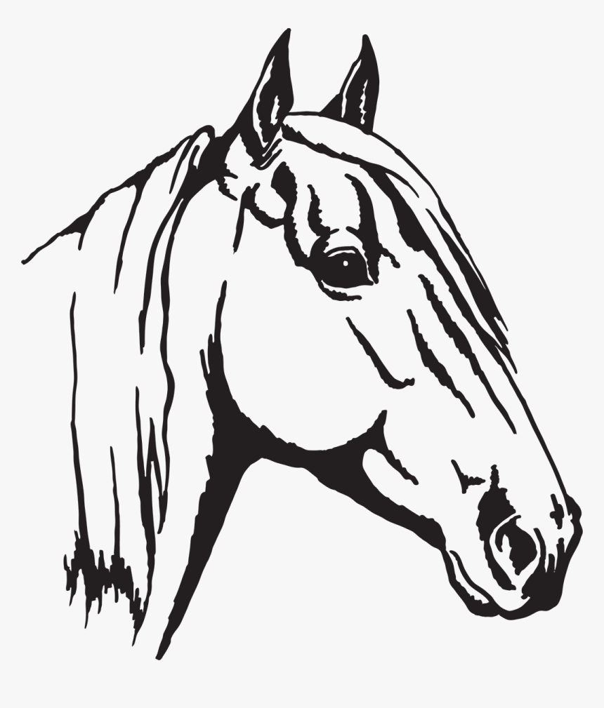 Arabian Horse Appaloosa Horse Head Mask Clip Art - Arab Horse Line Art, HD Png Download, Free Download