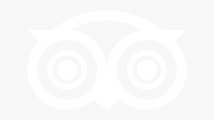 Tripadvisor-icon, HD Png Download, Free Download