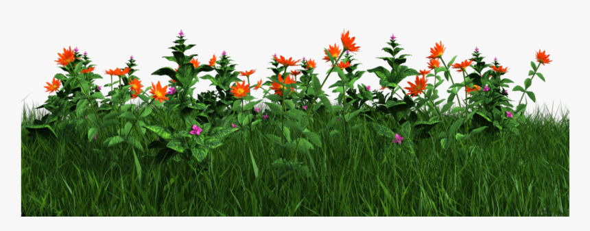 Flower Plants Png - Grass With Flowers Png, Transparent Png, Free Download