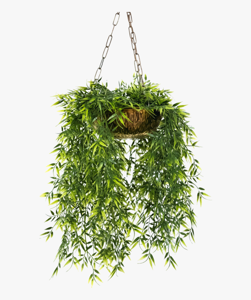Transparent Plants Png - Hanging Potted Plant Png, Png Download, Free Download