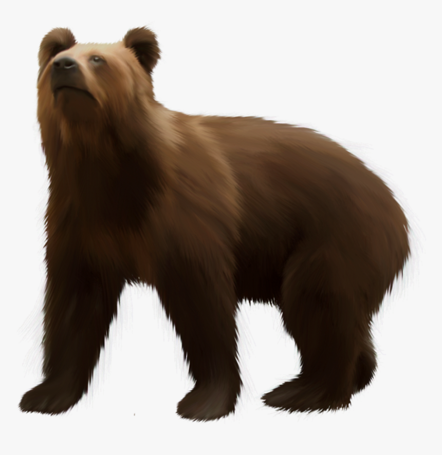 Bear Brown Png Clip Art - Brown Clipart Of Bear, Transparent Png, Free Download