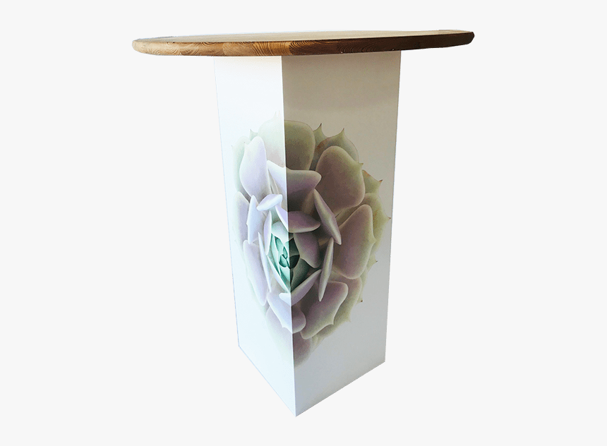 Inspired Environments Lavender Succulent Glow Table - Garden Roses, HD Png Download, Free Download