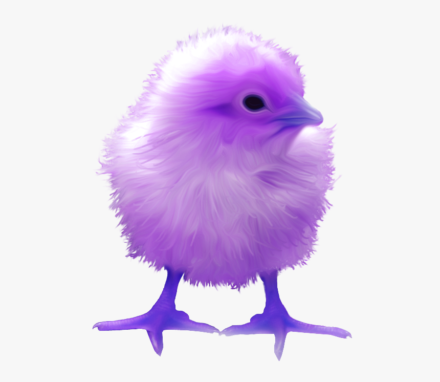 Surreal Memes Wiki - Chick Transparent Png, Png Download, Free Download