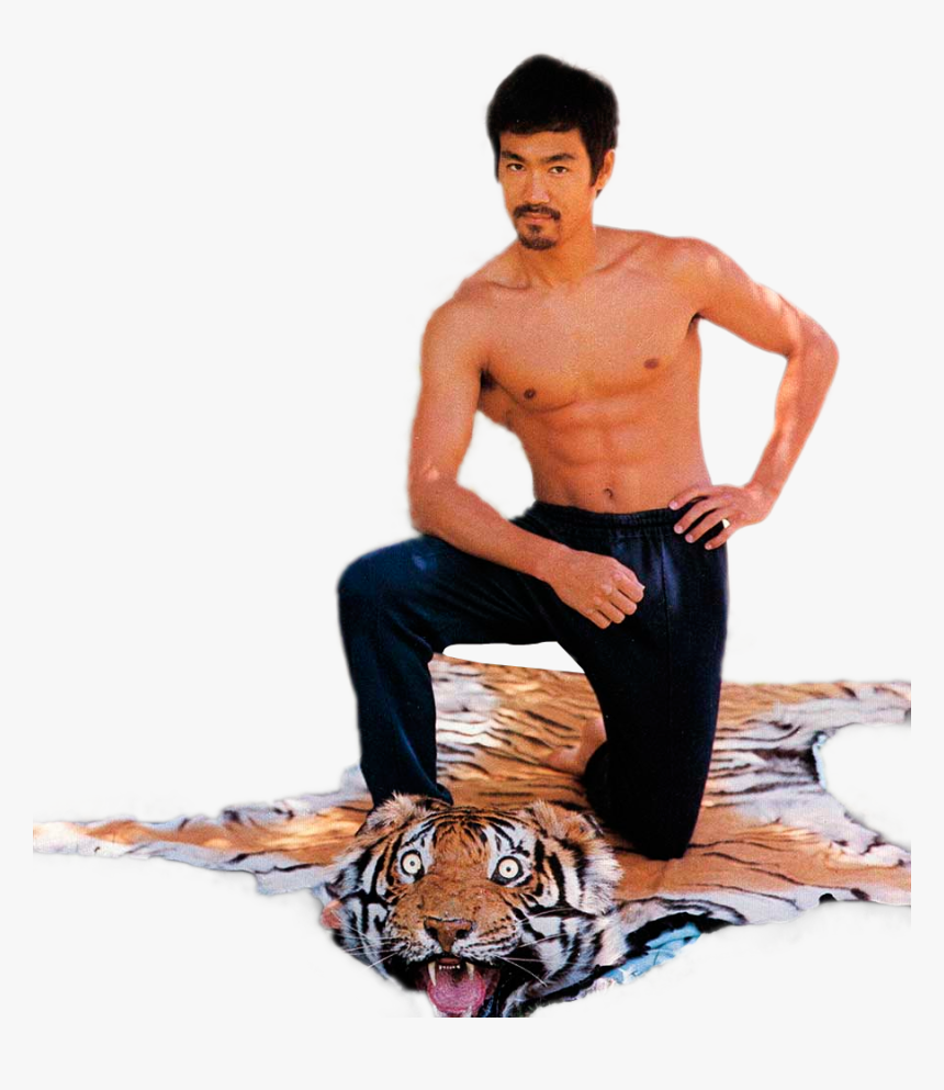 bruce lee vs tiger