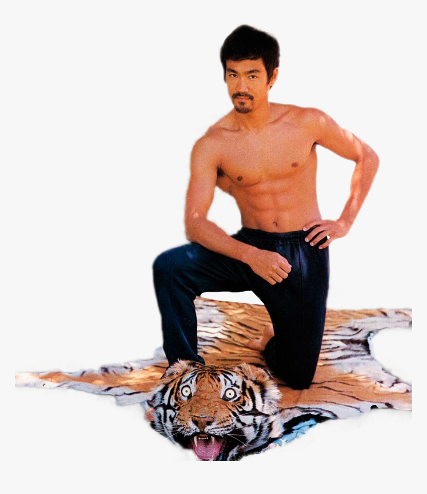 Bruce Lee Agnes Lee , Png Download - Bruce Lee Fight With Tiger, Transparent Png, Free Download