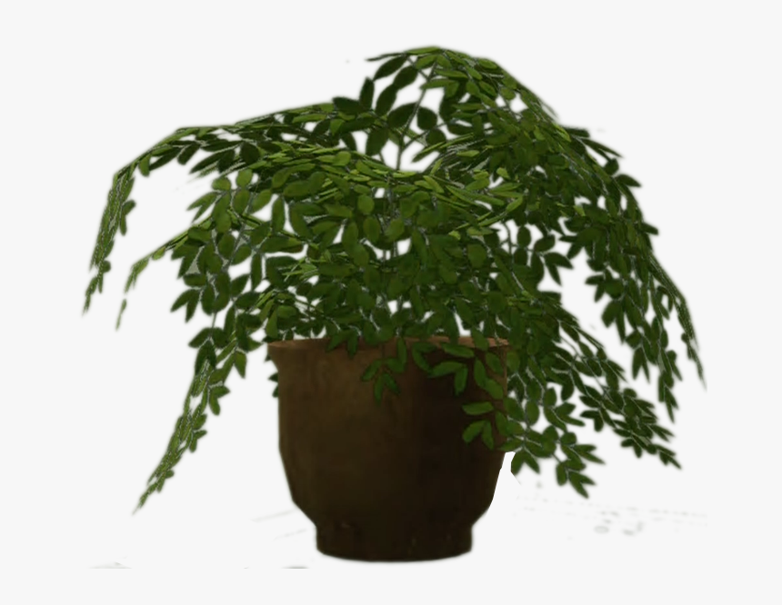 Dead Rising Wiki - Transparent Dead Plant Png, Png Download, Free Download