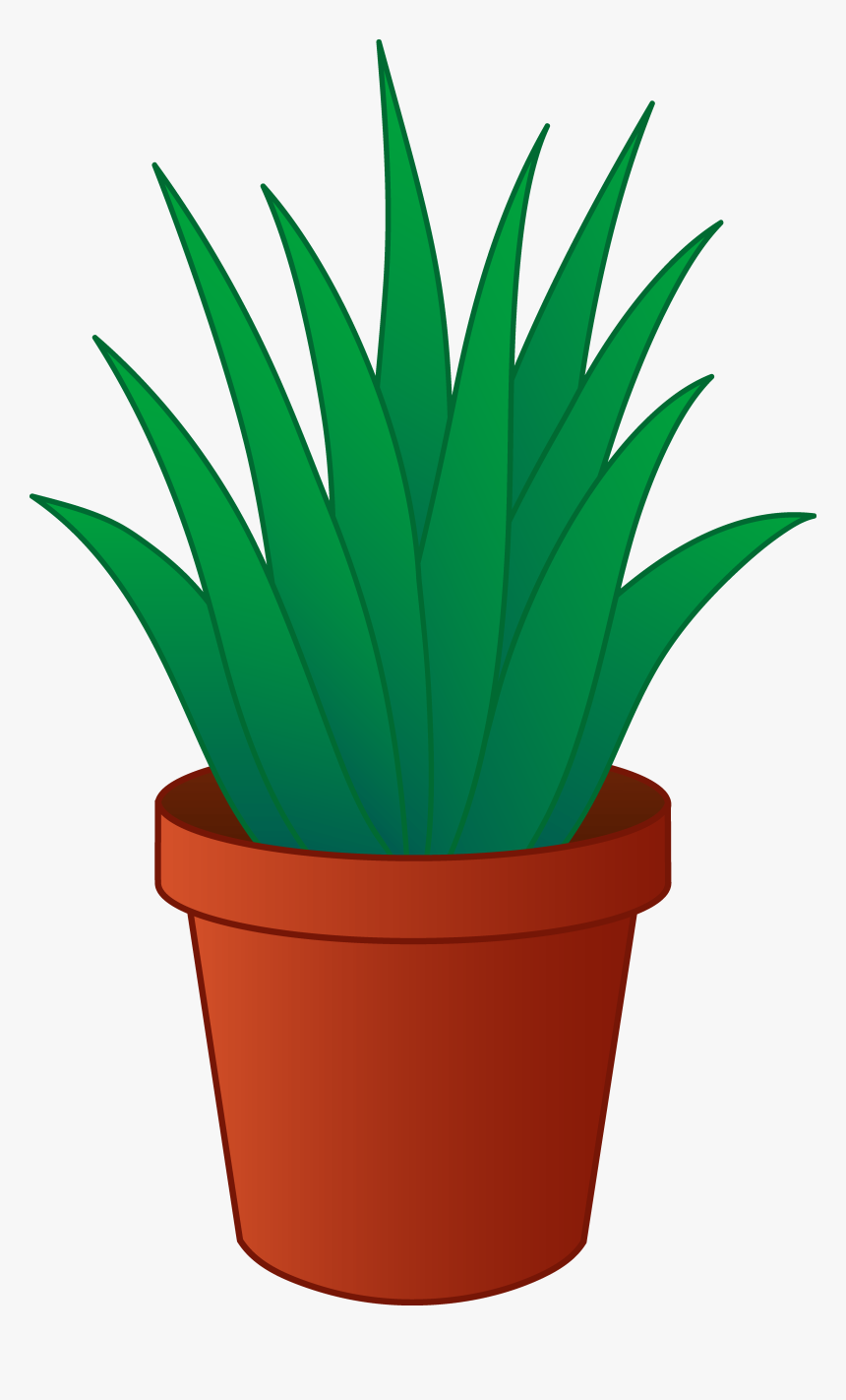 Potted Plant Clipart - House Plant Clipart Png, Transparent Png, Free Download