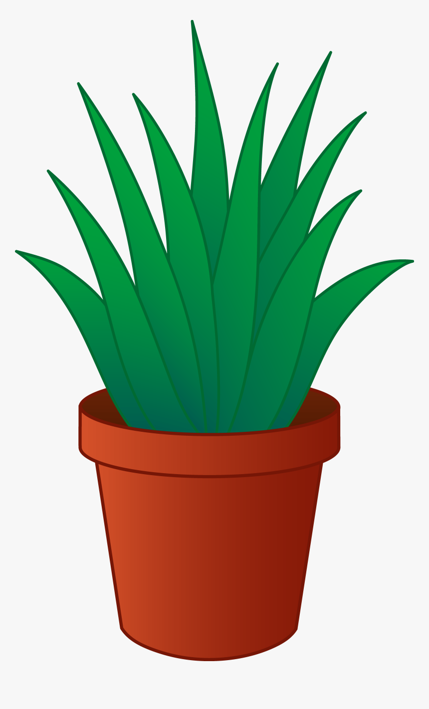 Featured image of post Potted Plant Clipart Transparent Background Download transparent potted plant png for free on pngkey com