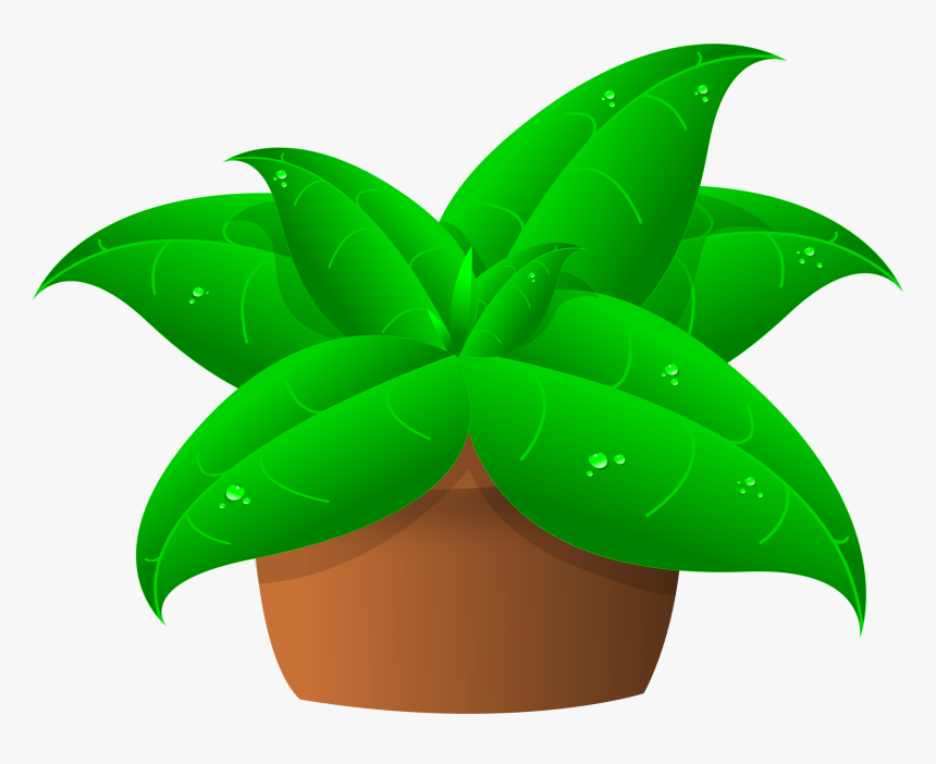 Plants In Pot - Plant Clipart Transparent, HD Png Download, Free Download