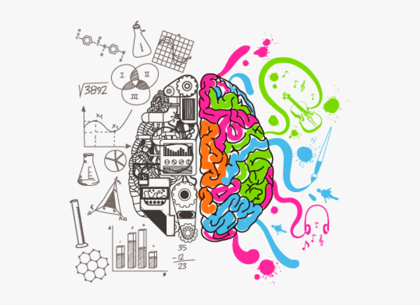 Intelligent Brain Png Image - Left Brain Right Brain, Transparent Png, Free Download