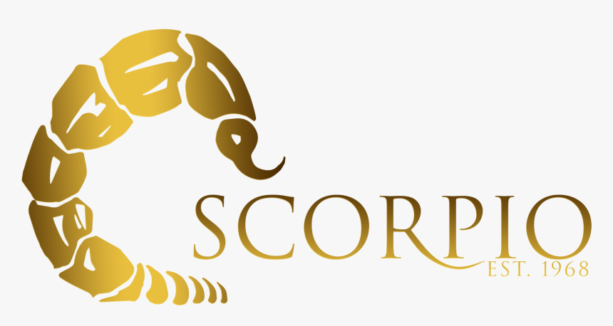 Scorpio Gay Night Club - Club Sorpio, HD Png Download, Free Download