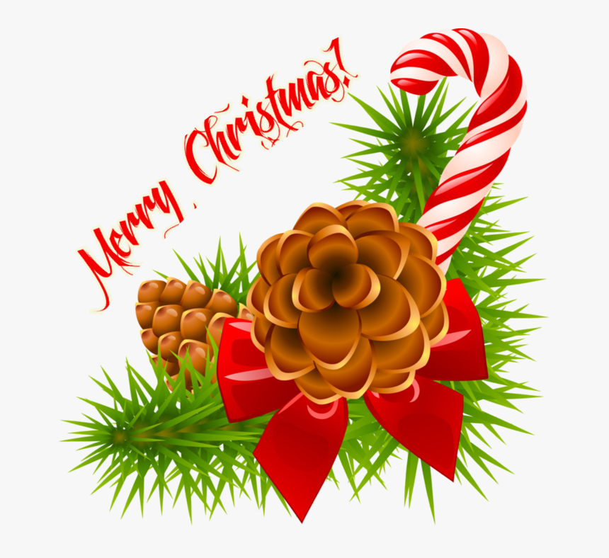 Merry Christmas Png Transparent Image Celebration - Christmas Pine Cones Clipart, Png Download, Free Download