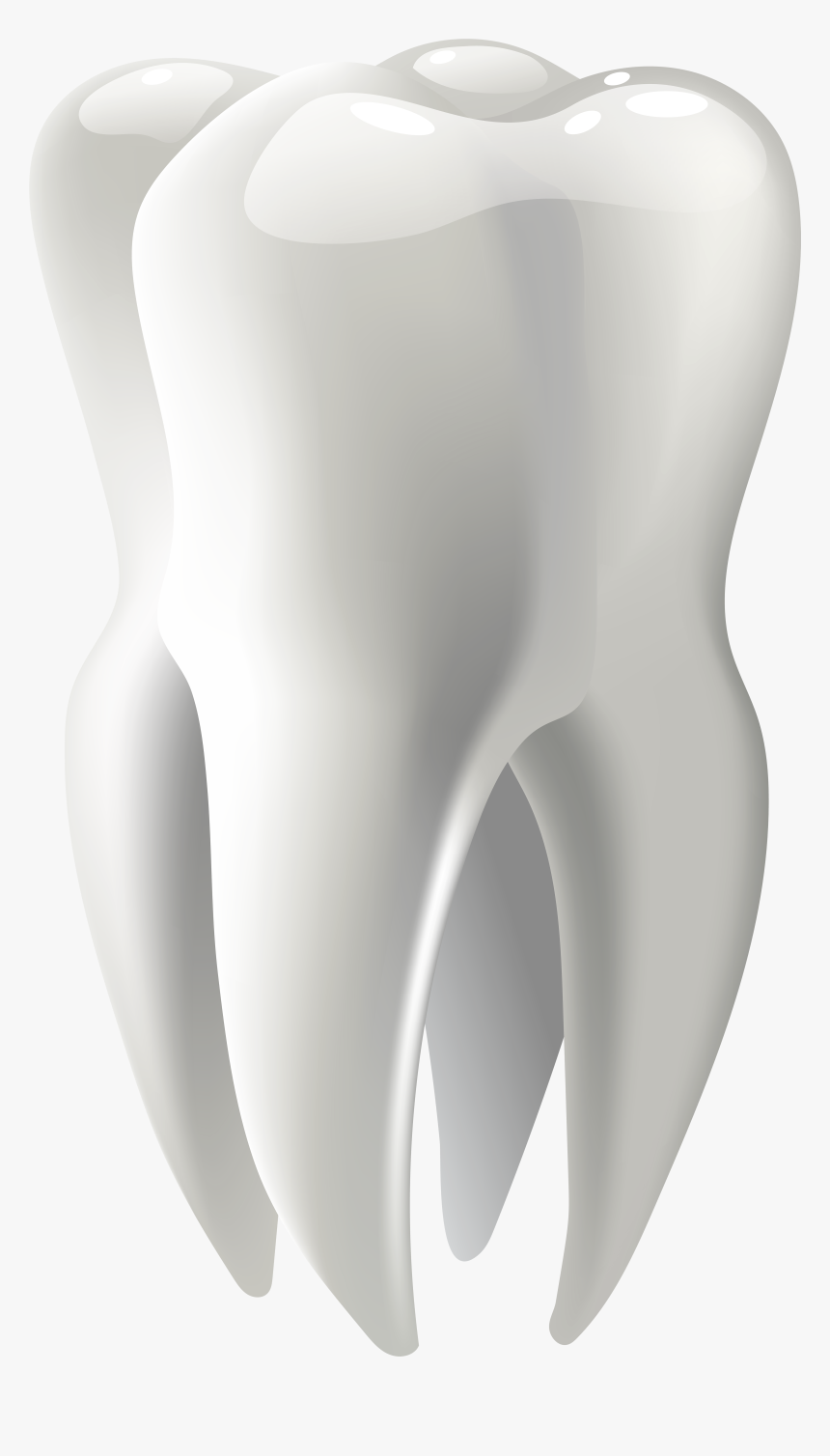 Molar Png Clip Art - Molar Tooth Png, Transparent Png, Free Download