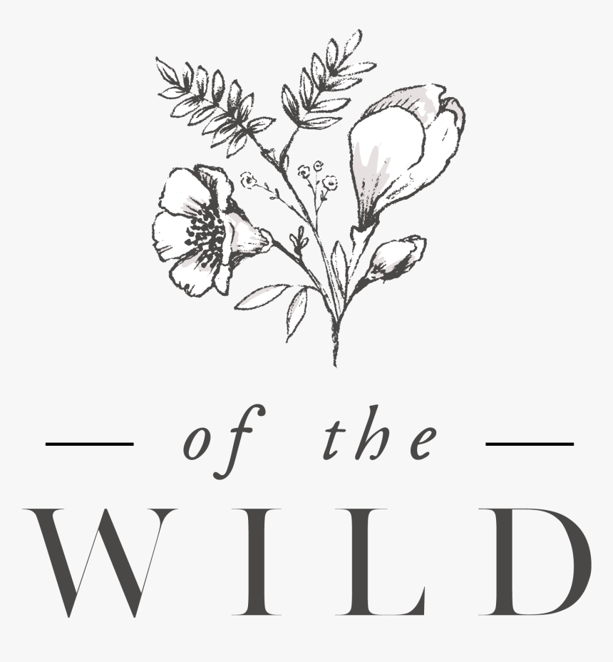 This Is The Of The Wild Logo - Line Art, HD Png Download, Free Download