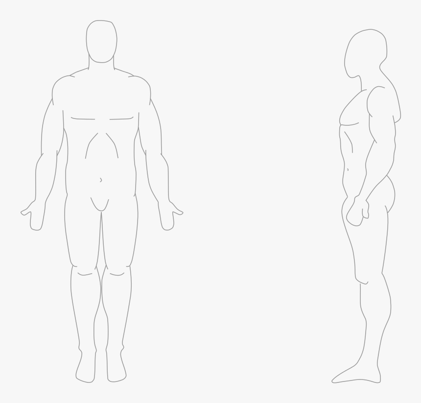Human Body Front And Side Anatomical Position Front And Side Hd Png Download Kindpng