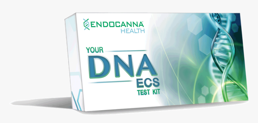 Endocanna Dna Kit, HD Png Download, Free Download