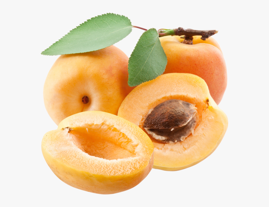 Apricots Png, Transparent Png, Free Download