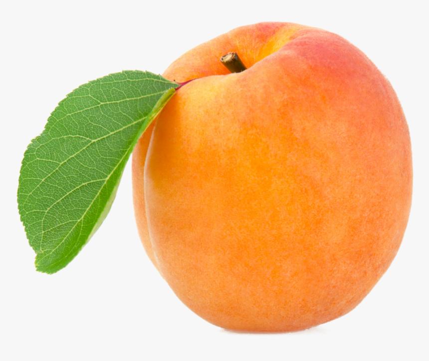 Apricot Png Image - Apricot Png, Transparent Png, Free Download