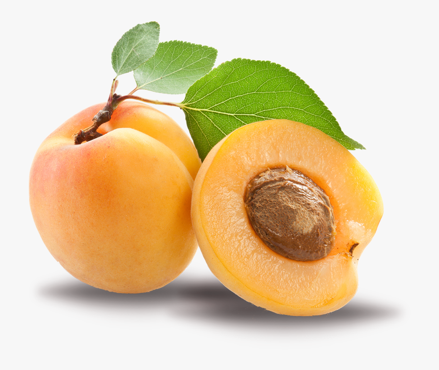 Apricot Kernel Png, Transparent Png, Free Download