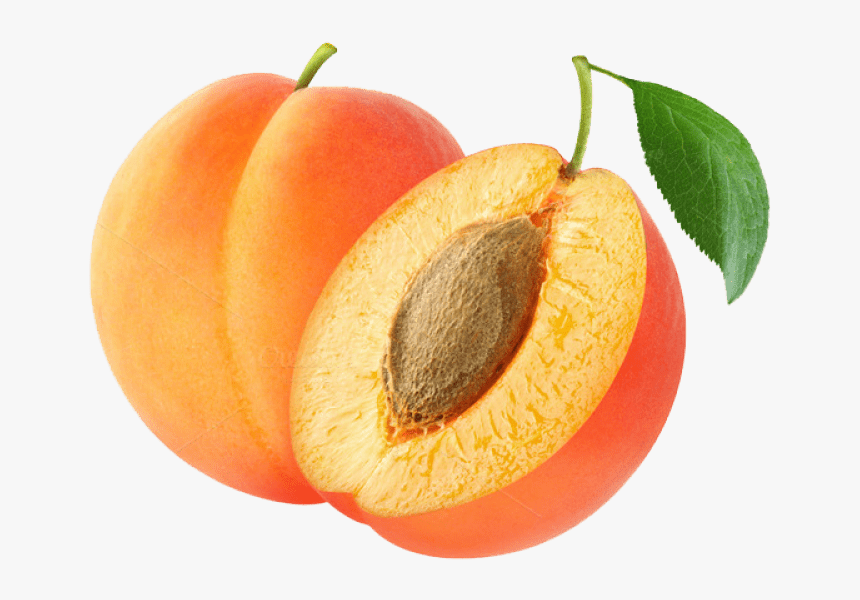 Apricot Png Photo - Apricot Transparent Png, Png Download, Free Download