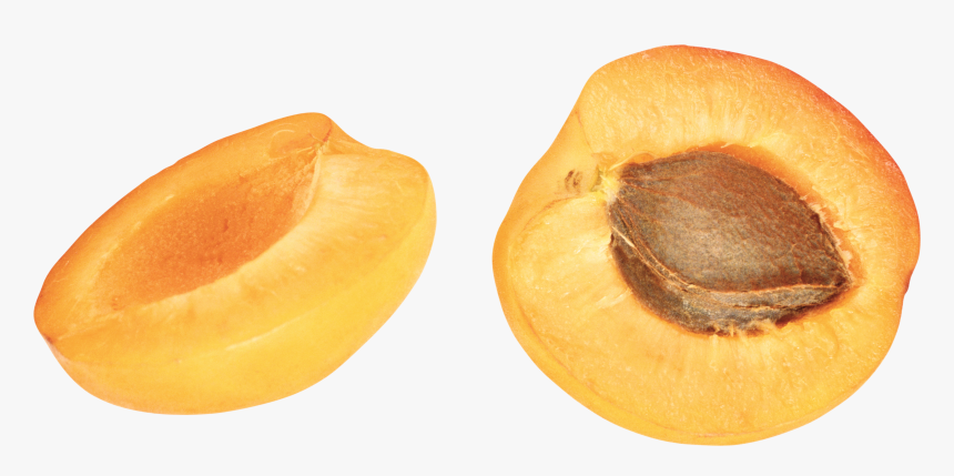 Apricot Png - Абрикосовые Косточки Пнг, Transparent Png, Free Download