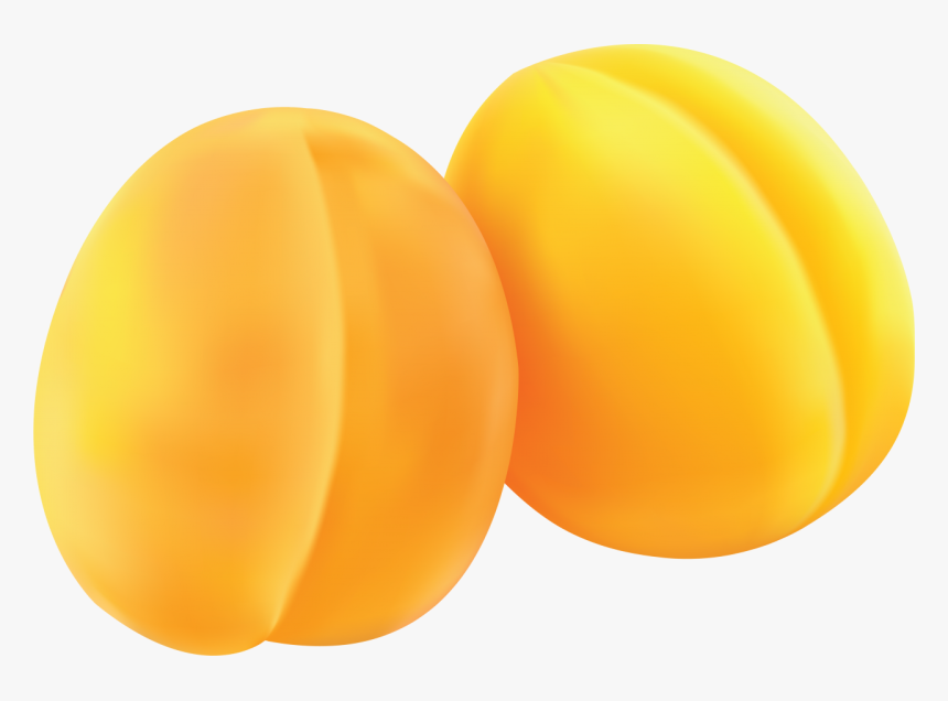 Apricot Png Image - Абрикос Png, Transparent Png, Free Download