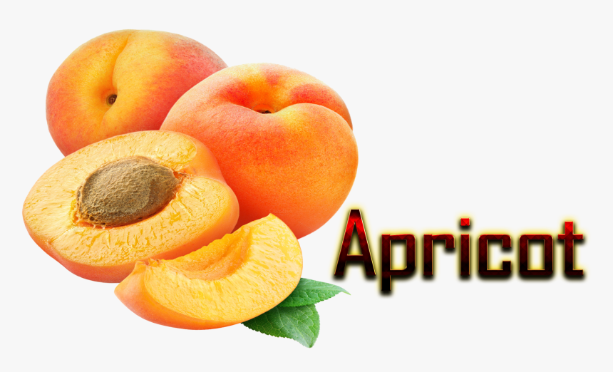 Apricot Png , Png Download - Apricot Fruit Image Png, Transparent Png, Free Download