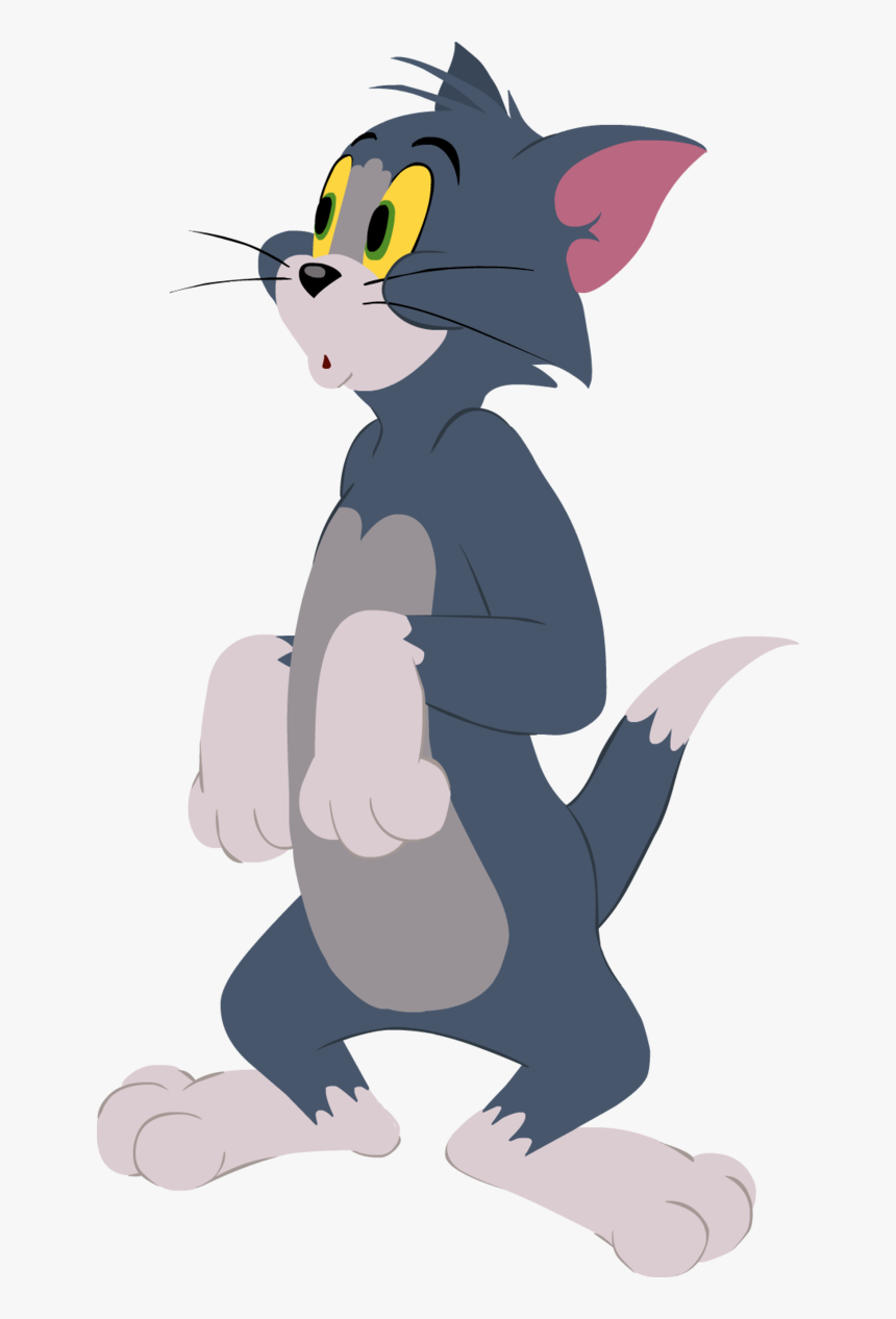 The Tom And Jerry Show Wiki - Tom And Jerry Show Tom, HD Png Download, Free Download