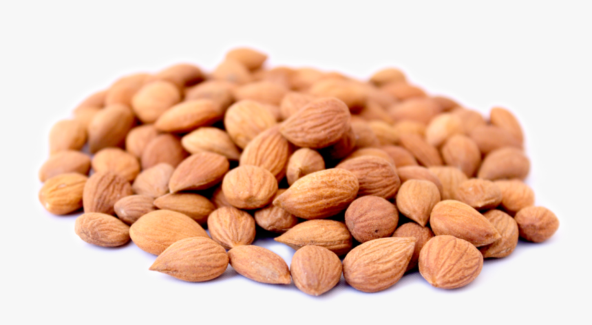 Apricot Kernels Png, Transparent Png, Free Download