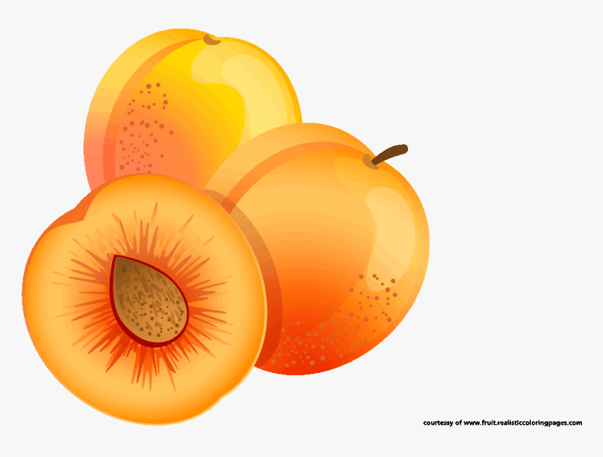 Transparent Orange Fruit Clipart - Sliced Apricot Clip Art, HD Png Download, Free Download
