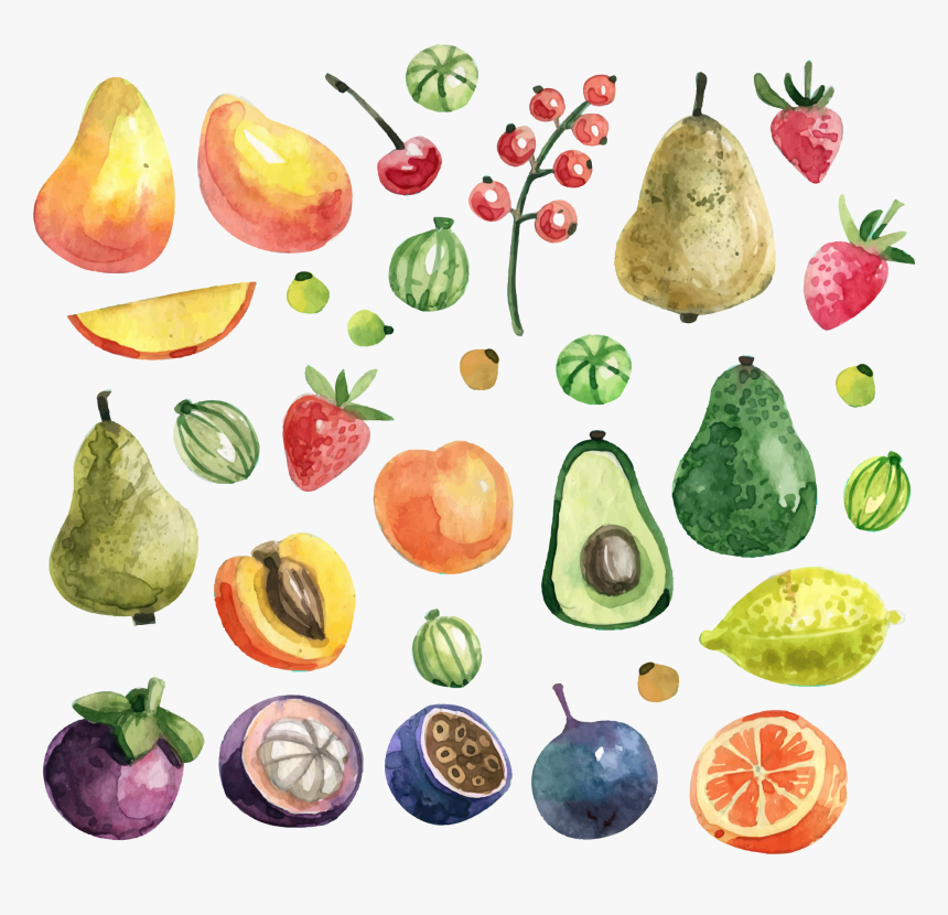 Fruit Painting Apricot Green Avocado Transprent Png - Fruit Watercolor Png, Transparent Png, Free Download