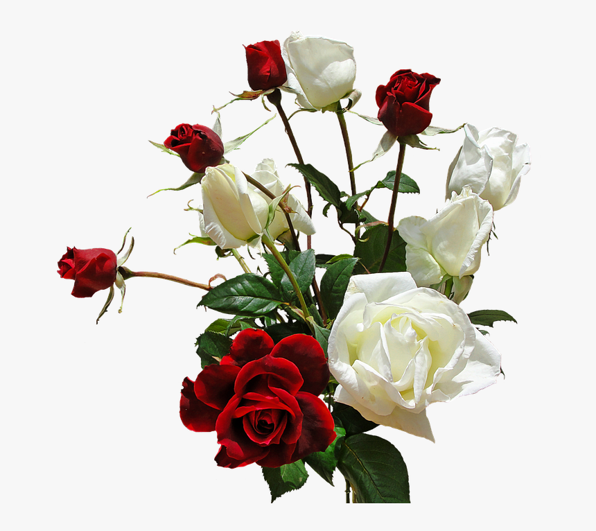 67, Backgrounds V - Romantic Love Love White Rose Flower, HD Png Download, Free Download