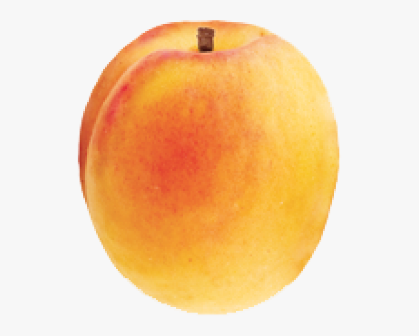 Apple, HD Png Download, Free Download