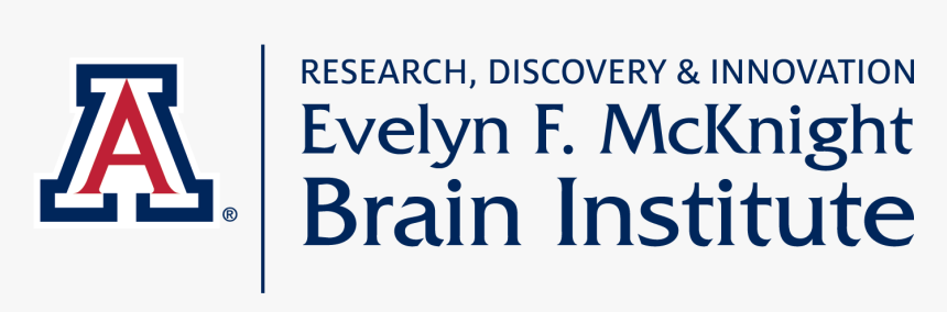 Mcknight Brain Institute - Evelyn Mcknight Brain Institute, HD Png Download, Free Download