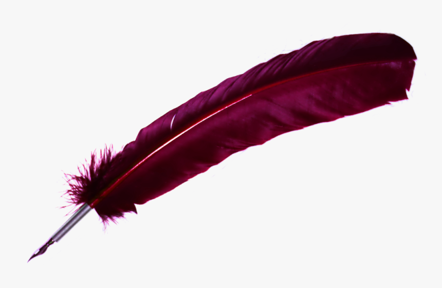 Pen Hd Png , Png Download - Feather Pen Png Transparent, Png Download, Free Download