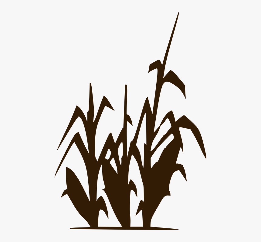 Corn Stalk Clipart Black And White, HD Png Download, Free Download